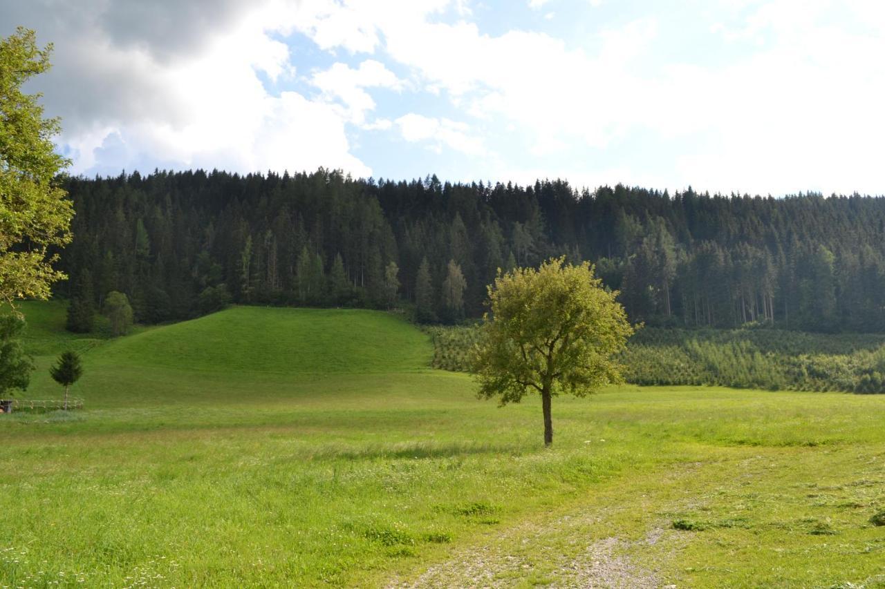 Ferienwohnung Ertlerhof Ranten 외부 사진